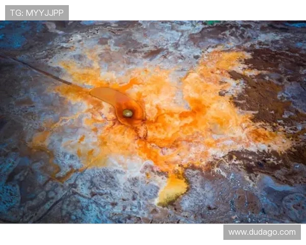 探索全球足球宝藏 揭开顶级球星成长之路